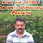 @kiwiandappleorchard8683