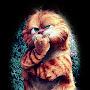 @sandrapurcell6087