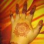 @support-islam-313