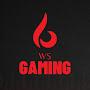 @WSGamer263