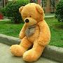 @hadiyahmuhamad6658