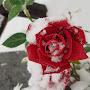 @woori1004cc