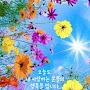 @ssangsoo7