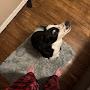 @Cookin-wit-Waylon