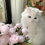 @reem9893