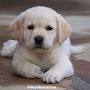 @VIJAY--eg3qm