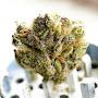 @CannabisTechLife