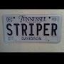 @stripervince1