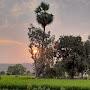 @krishnaarjuna3918