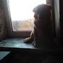 @Jopuk-k9c