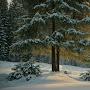 @WinterplaysYT-v9l
