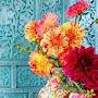 @mfkfmk1381