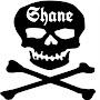 @shanecorning5222