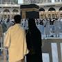 @shorougkamal