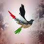 @FREE_GAZA9