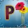 @piyushhembrom6168