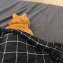 @tigergree3983