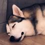 @FutVibes1234
