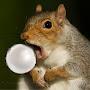 @Squirrel7896