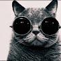 @datcat0000