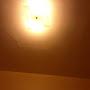 @kennethmoaratty7893