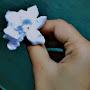 @Fun-with-lily-1357