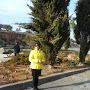 @daligogiashvili4017