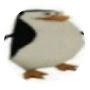 @빙상-h7y