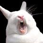 @AbyssalLeporidae