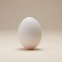 @Tamago-q4g