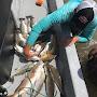 @saltedfishingoutdoors5843