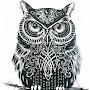 @grumpyowl3515