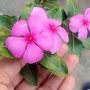 @Nature_is_beautiful_89