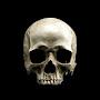 @gravestone4840