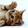 @nonfunctionalkitten3785
