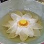 @妙吉祥-v9s