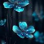 @najiyibmostfawi87