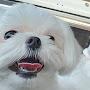 @에에찡-m2t