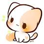 @rainbowkitty5655