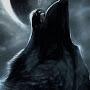 @mercilesslycan7767