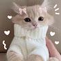 @K.c_0418