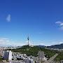 @백핸드-f2o