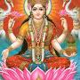 @anshankushraj8426
