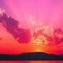 @ryanhansen9779