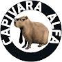 @canaldocapivara