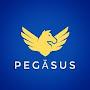 @pegasus_yt_official