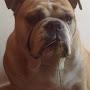 @aristocratedesargentes7009