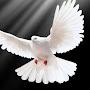 @seekYeshua_777