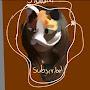 @korall-o5imeowfunk