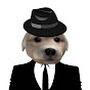 @suiteddogs